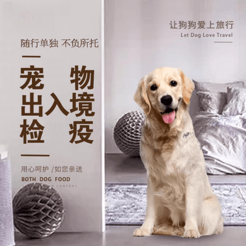 庆阳市宠物托运到哥伦比亚猫狗宠物入境规定和
