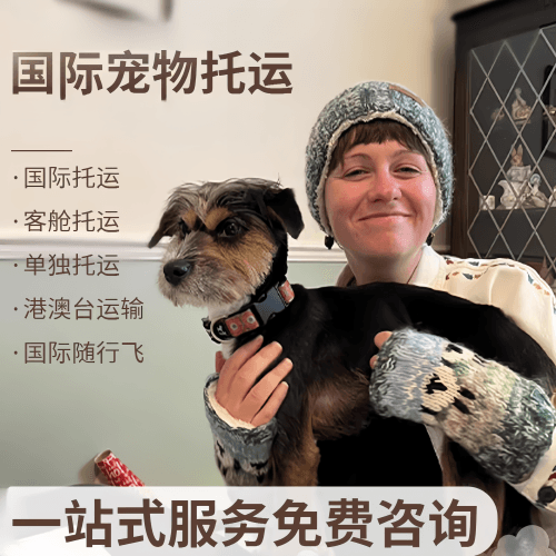 庆阳市国际宠物托运到阿根廷宠物入境规定和要