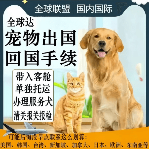 庆阳市宠物托运到柬埔寨宠物入境规定和要求