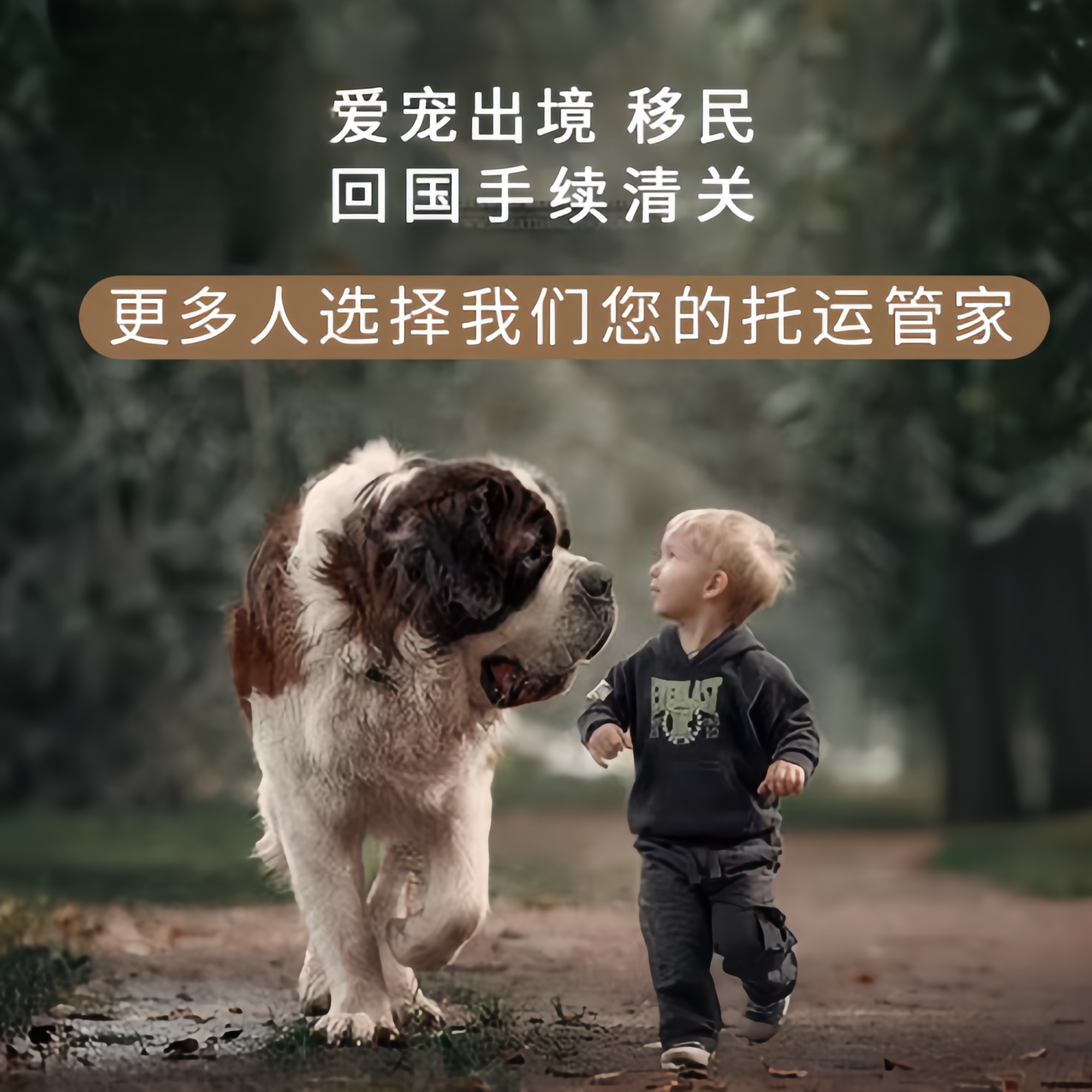 满财庆阳市宠物全球达宠物托运在遵守入境目的地政策的条件
