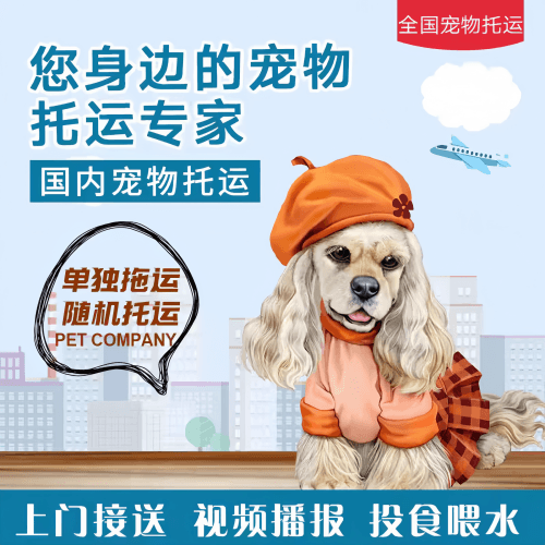 满财庆阳市宠物全球达宠物托运作为专业的宠物运输代理机构